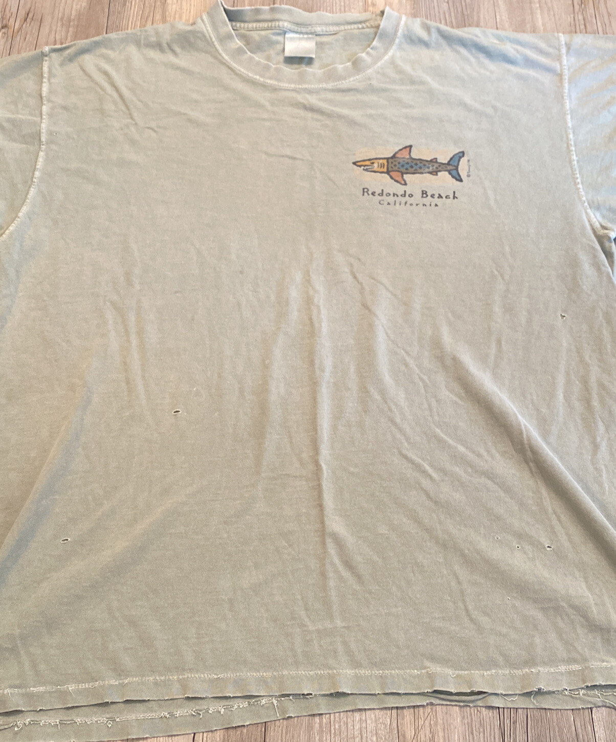 Redondo Beach California Mens Short Sleeve T Shirt 90’s (Distressed) (READ)👇