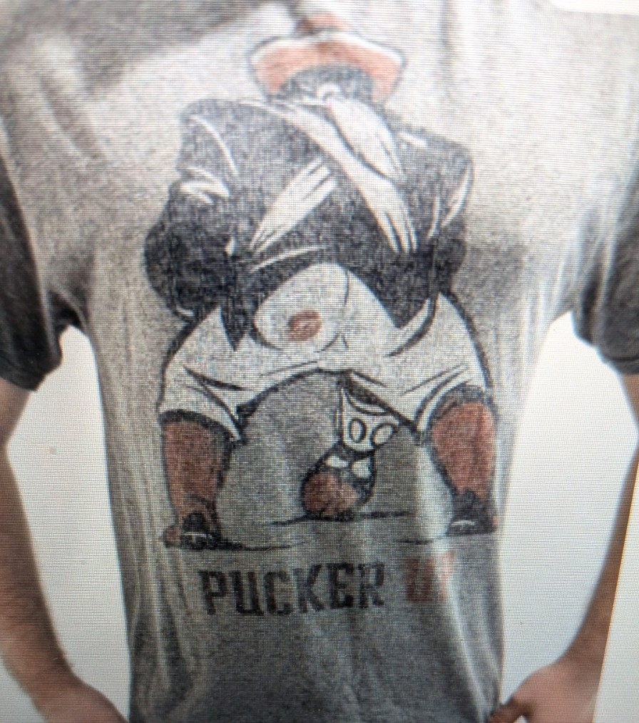 Vintage Delta Pro Weight T Shirt Mens Size L Gray Pucker Up Graphic Tee Y2K gallery