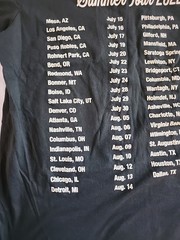 Dispatch Summer Tour 2022 Size Large T-Shirt Deep Green Concert Tour.