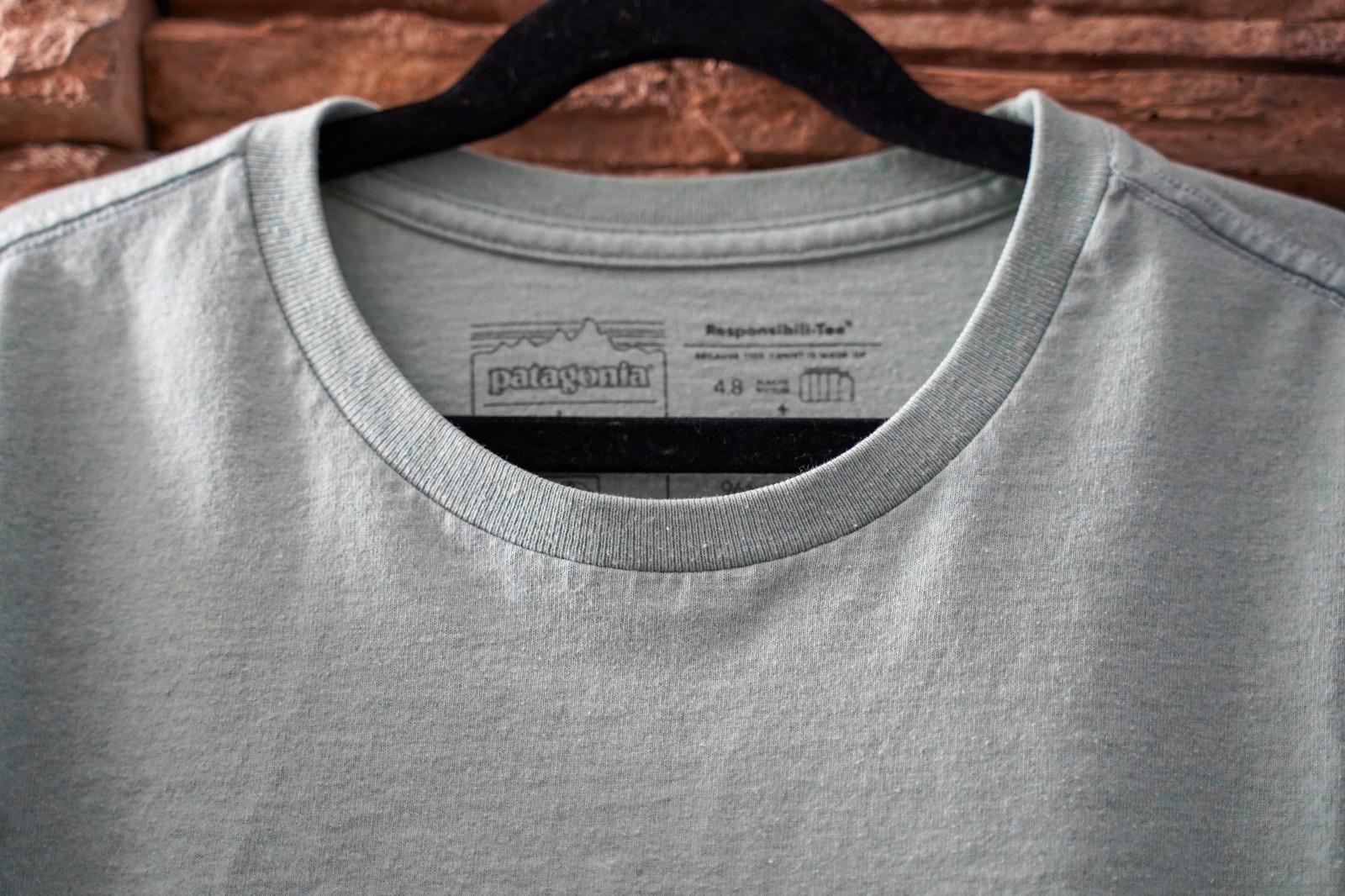 Patagonia Responsibili-Tee Men’s M Sage Green Cotton Crew Neck Logo Graphic Tee gallery