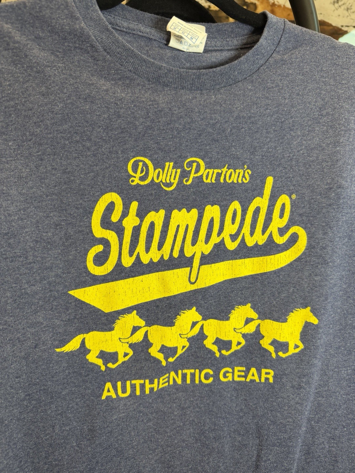 VTG Delta Pro Weight Dolly Parton’s Stampede Blue Graphic Logo Crew Neck Tee M gallery