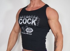 2 MEN’S FUN CROPPED SHIRTS BOTH SIZE S