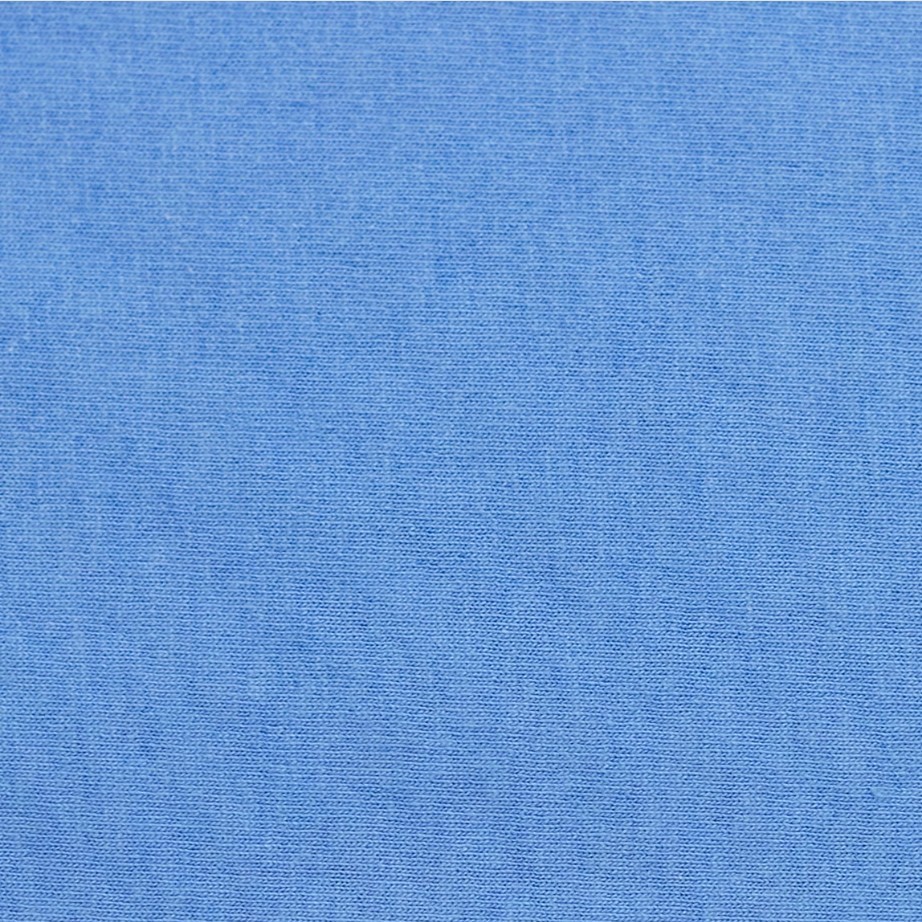 Hanes 5250 4XL 5XL Authentic Short Sleeve Men's Cotton T-Shirt Carolina Blue gallery