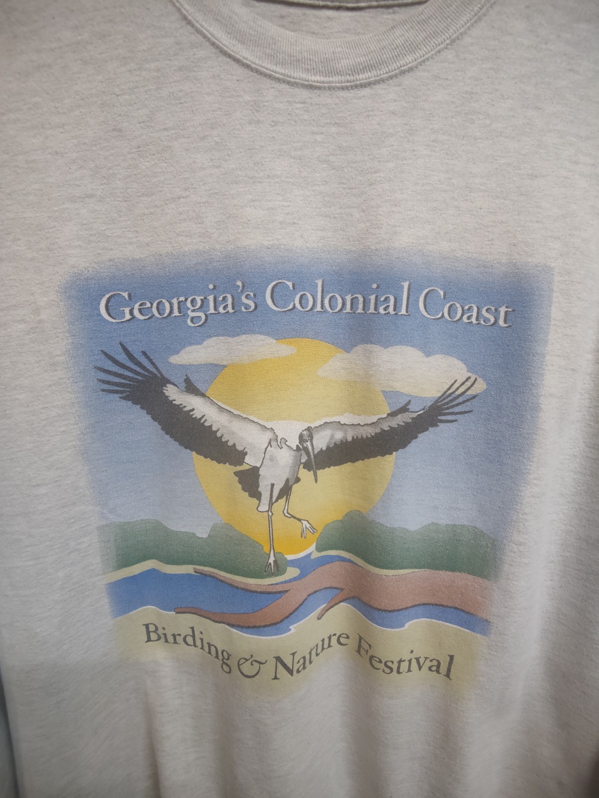 Georgia's Colonial Coast Wood Stork Graphic Long Sleeve T-shirt Men's Large gallery