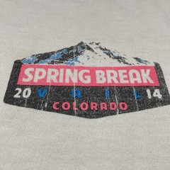 Spring Break 2014 Vail Colorado Long Sleeve Graphic T Shirt Size XL Ski & Drinks