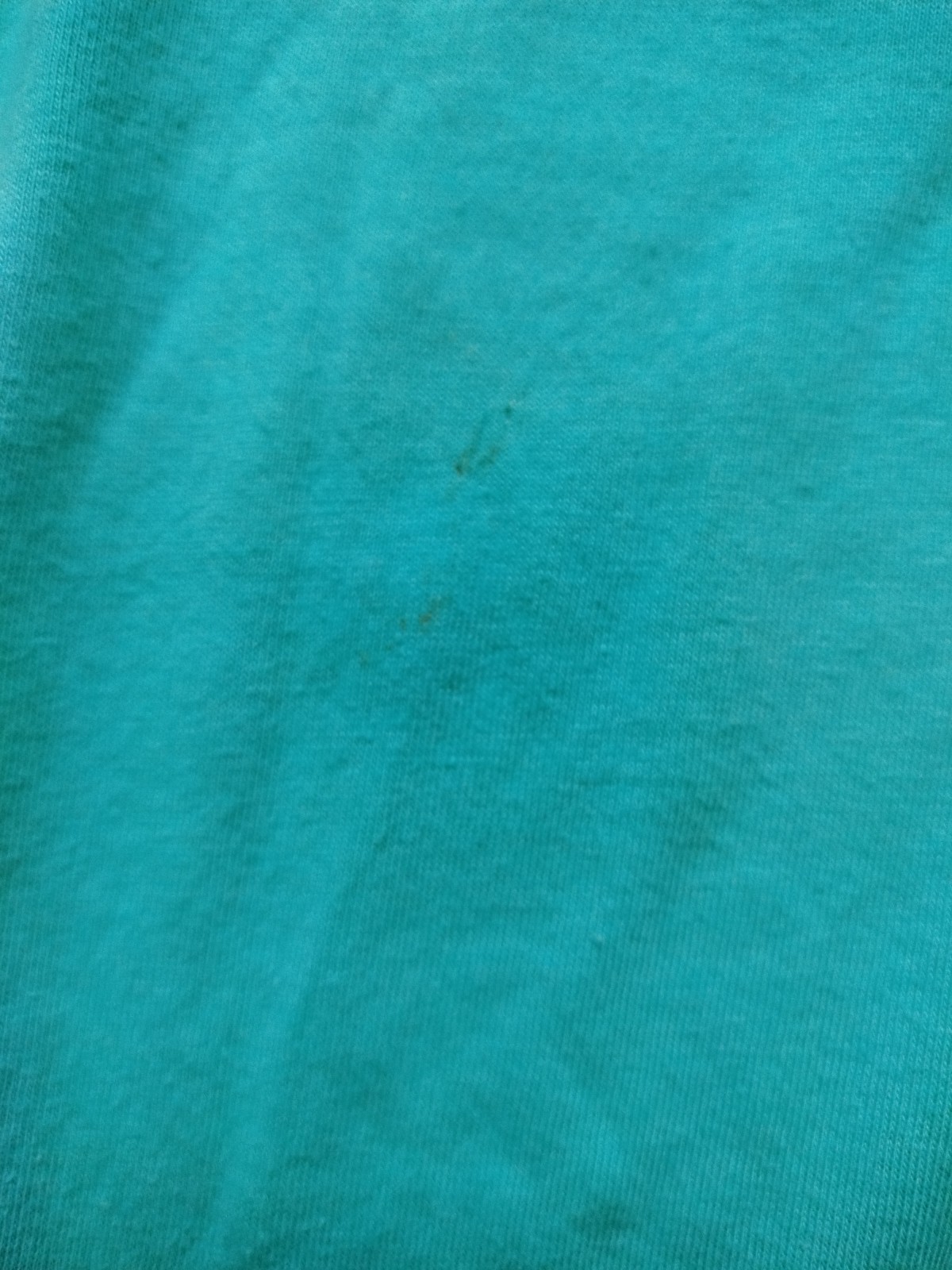 Vtg Timothy Sheehans Upstate NY Mint Green Mens L Tee USA Pit 19 Length 27 Flaws gallery