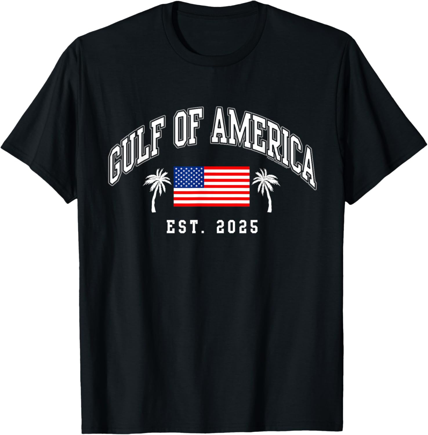 Gulf America Est 2025 USA American Flag Palm Trees Patriotic T Shirt gallery
