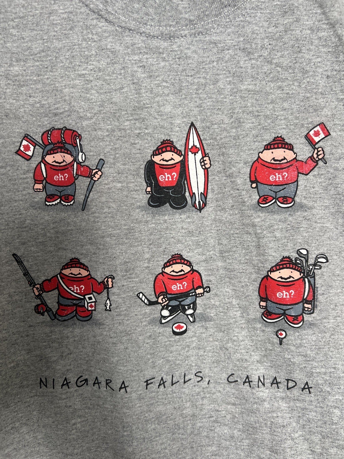 NWOT Vintage Niagara Falls Canada Souvenir shirt Men Size Large Grey Humor Funny gallery