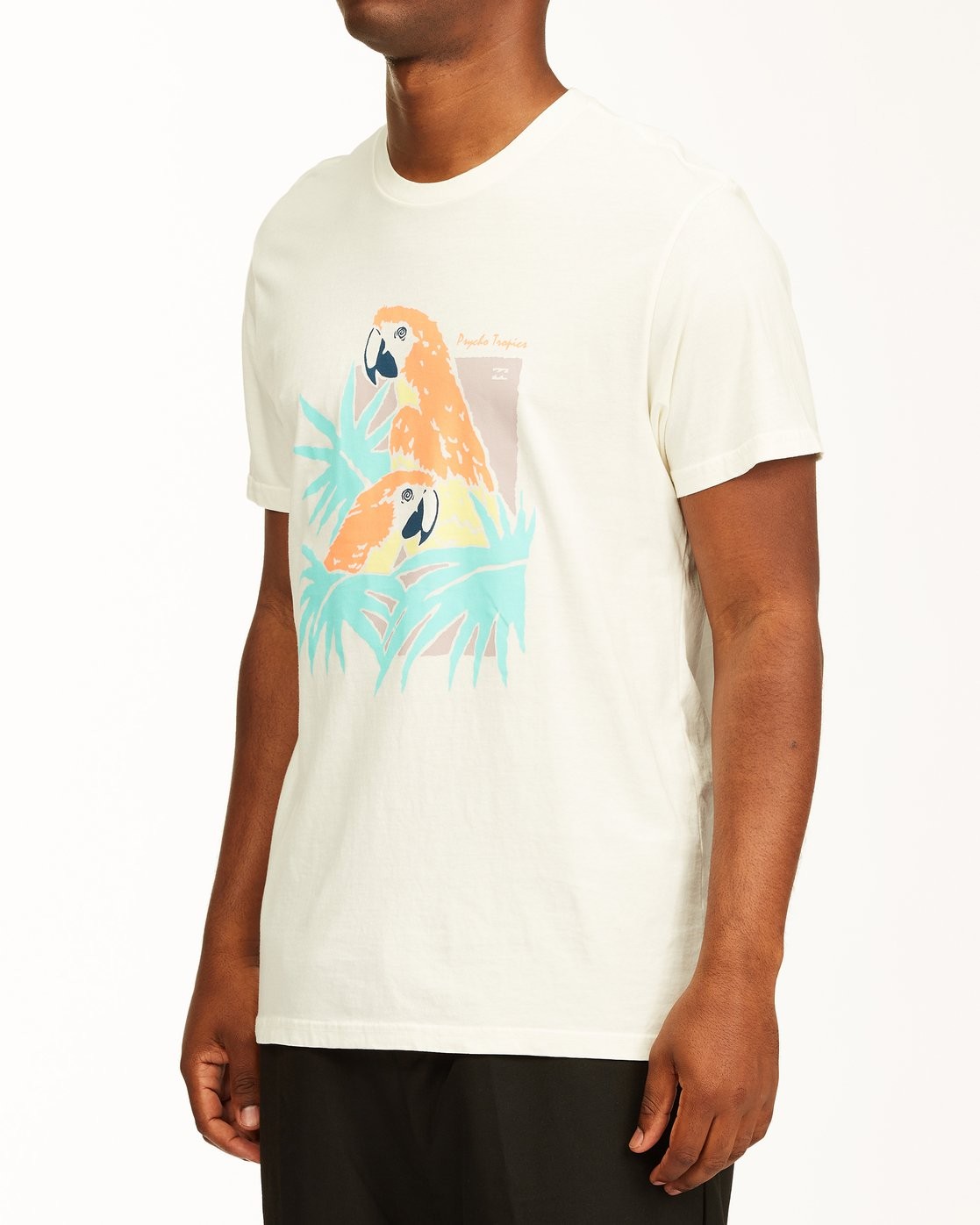 Billabong Men's Scarlet Short Sleeve Wave Washed T-Shirt Off White-Med & Large gallery