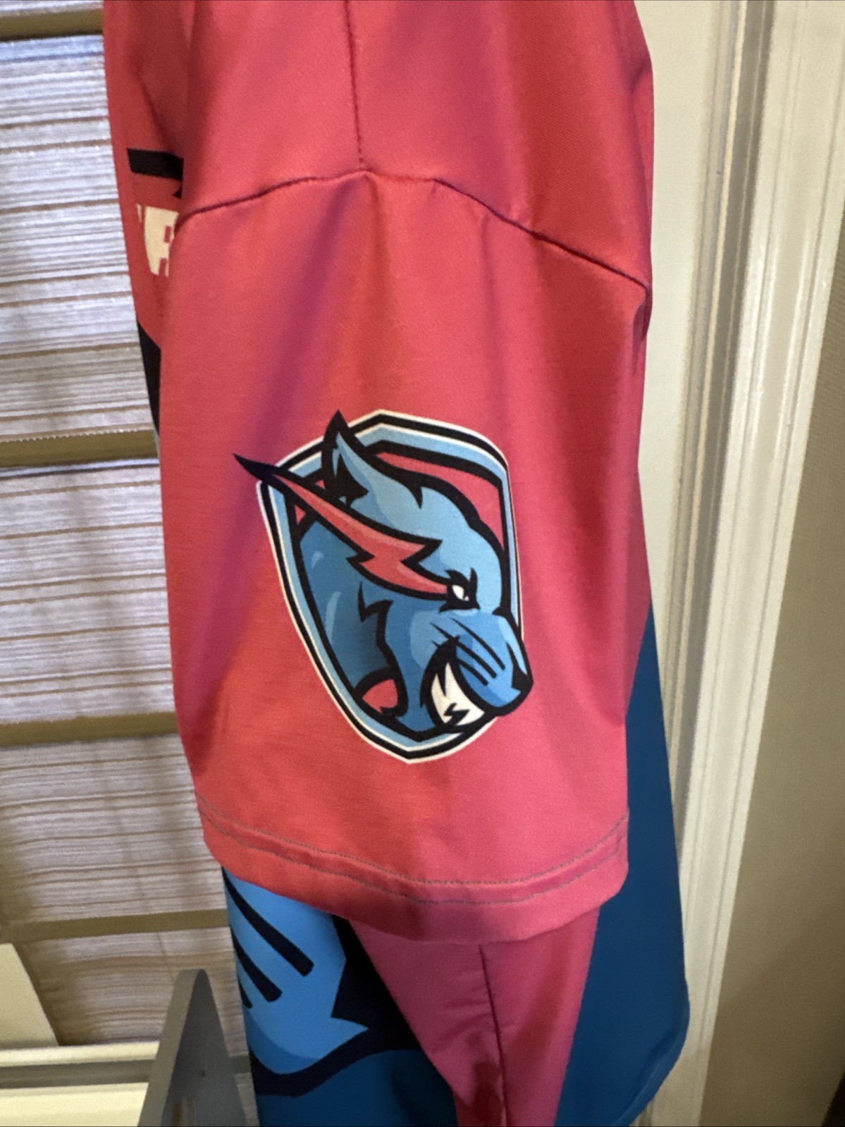 Mr Beast Gaming Performance V Neck Jersey Men's Size Medium Pink & Blue Panther gallery
