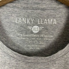 Lanky Llama Extra Large XL Gray Crew Neck Stretch Tee Minimalist Casual Basic
