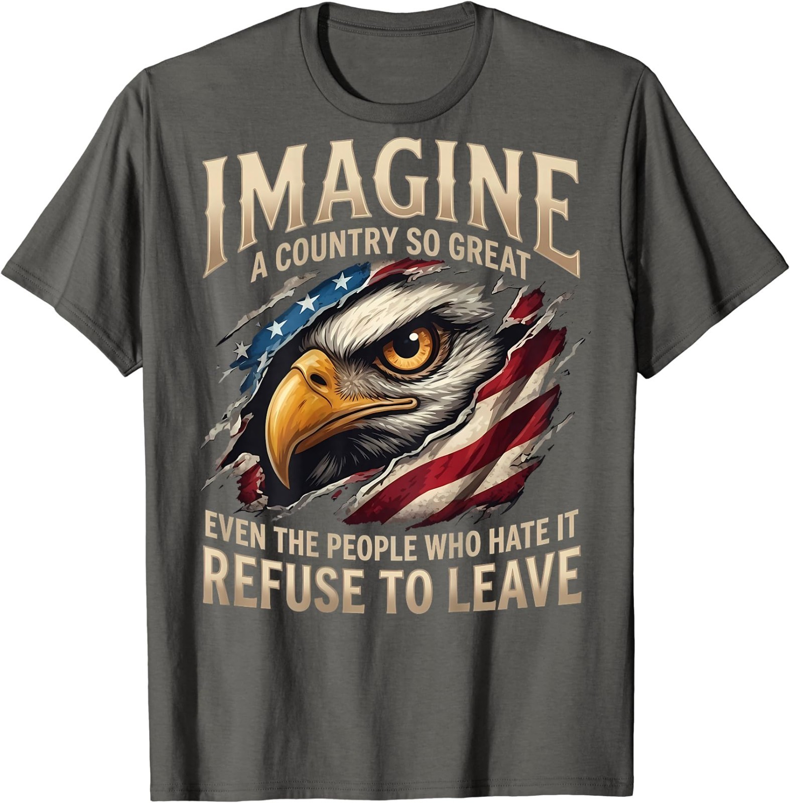 (ON Back) Retro Imagine A Country So Great Even The People T-Shirt gallery