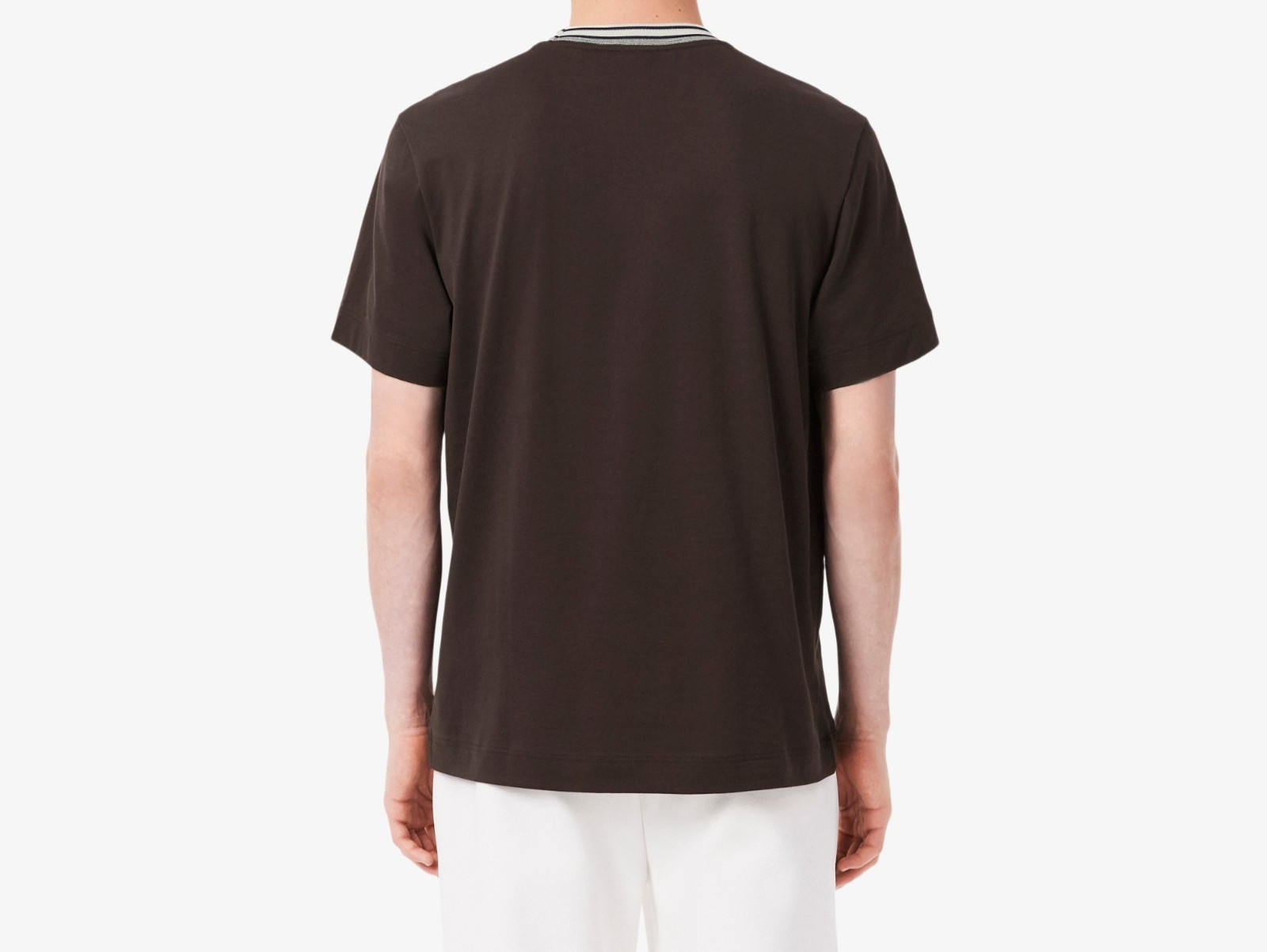 LACOSTE COTTON TIPPED CREW NECK T-SHIRT BROWN (7) 2XL RRP £75 BNWT gallery