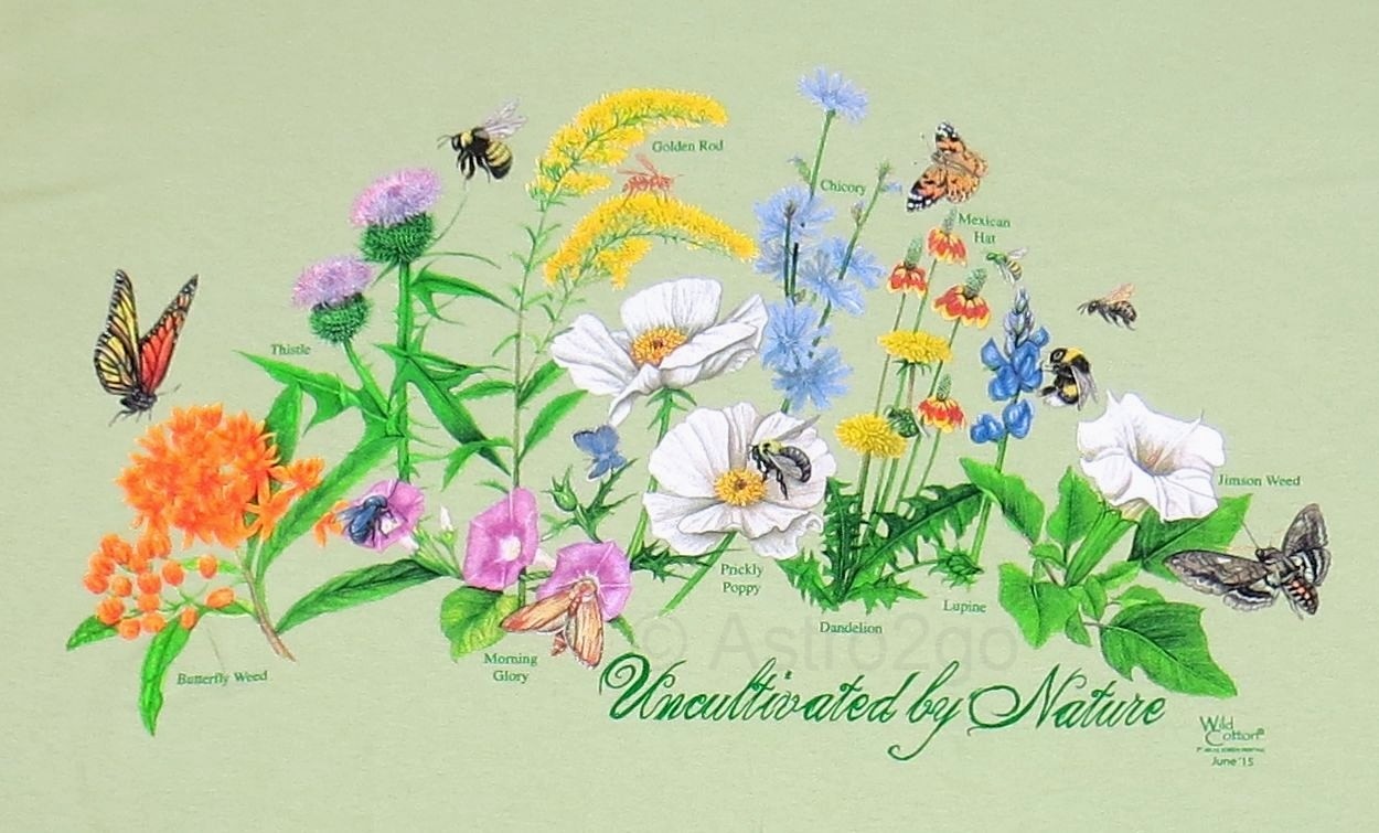 UNCULTIVATED BY NATURE-Weeds Garden Butterfly Bees Nature Science T shirt XL,2XL gallery