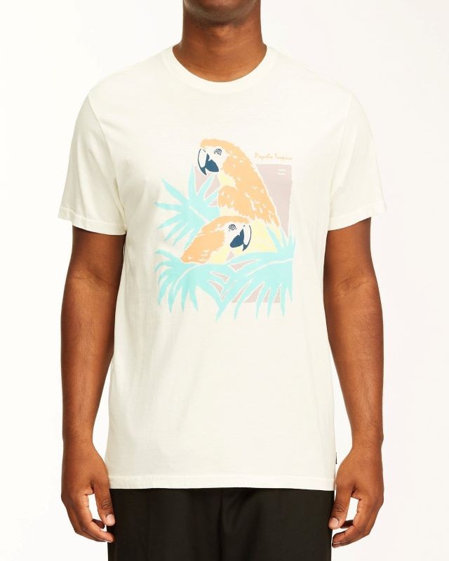Billabong Men's Scarlet Short Sleeve Wave Washed T-Shirt Off White-Med & Large gallery