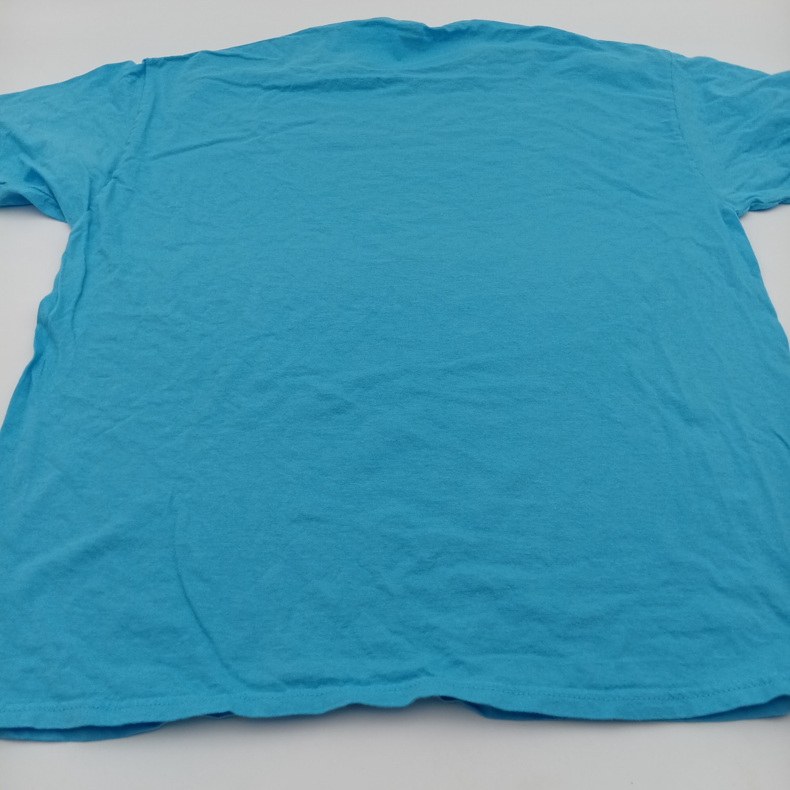 Fruit Of The Loom T Shirt Mens XL Blue Charleston South Carolina Colorful Print gallery