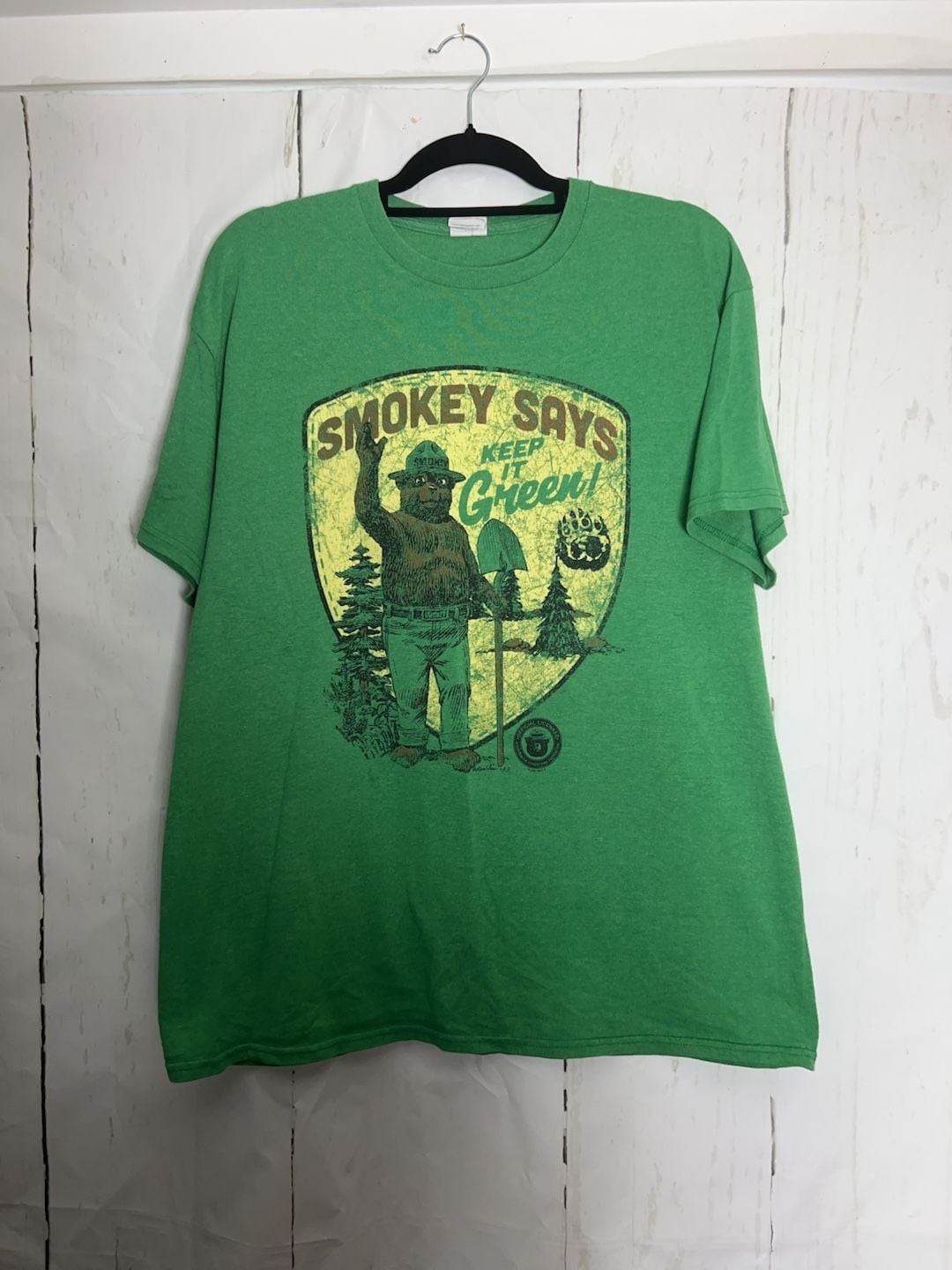 Delta Pro Weight Smokey Bear Keep It Green Graphic T-Shirt Size Large gallery