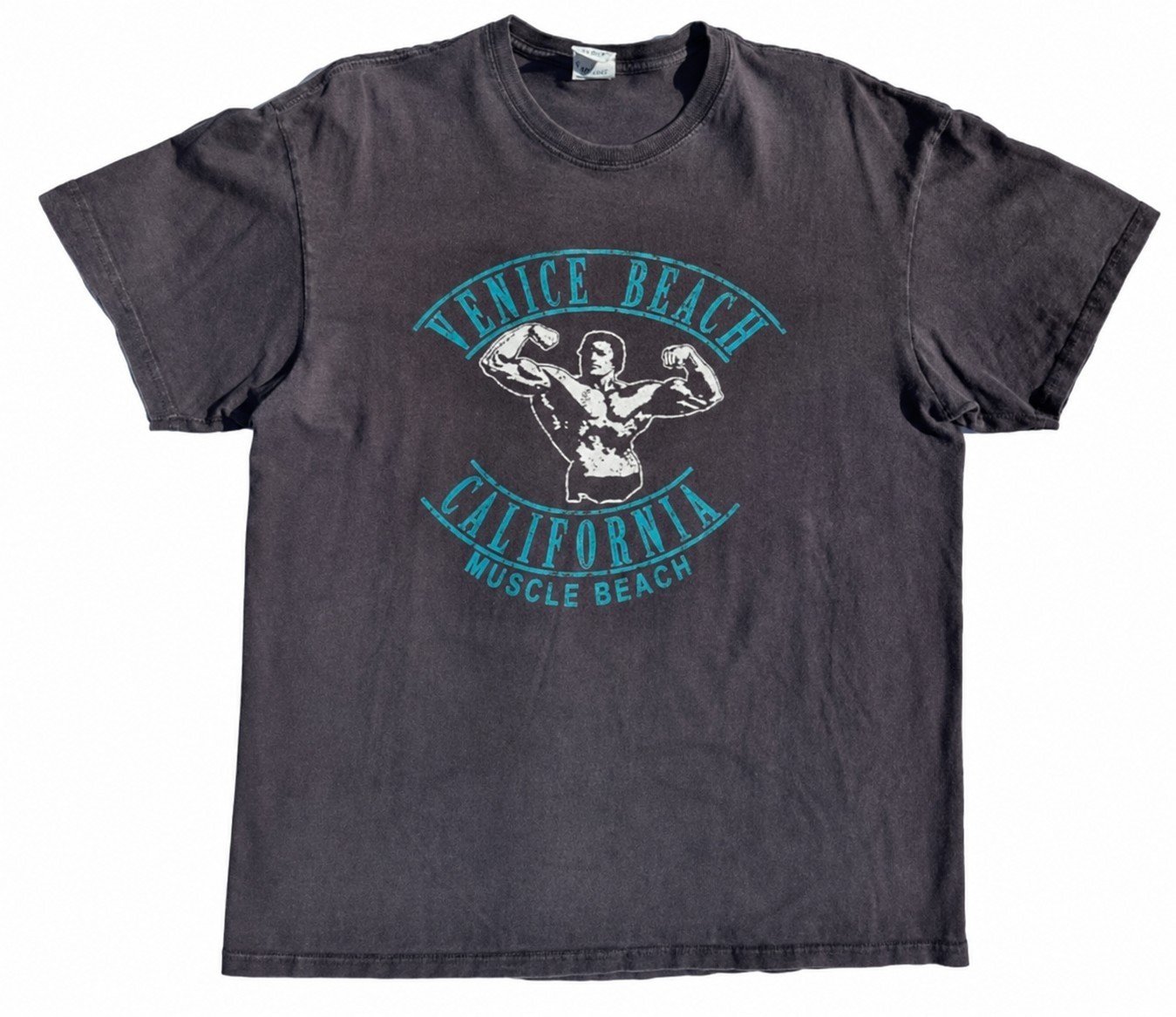 Venice Muscle Beach California Arnold Schwarzenegger Travel T Shirt Mens Size L gallery