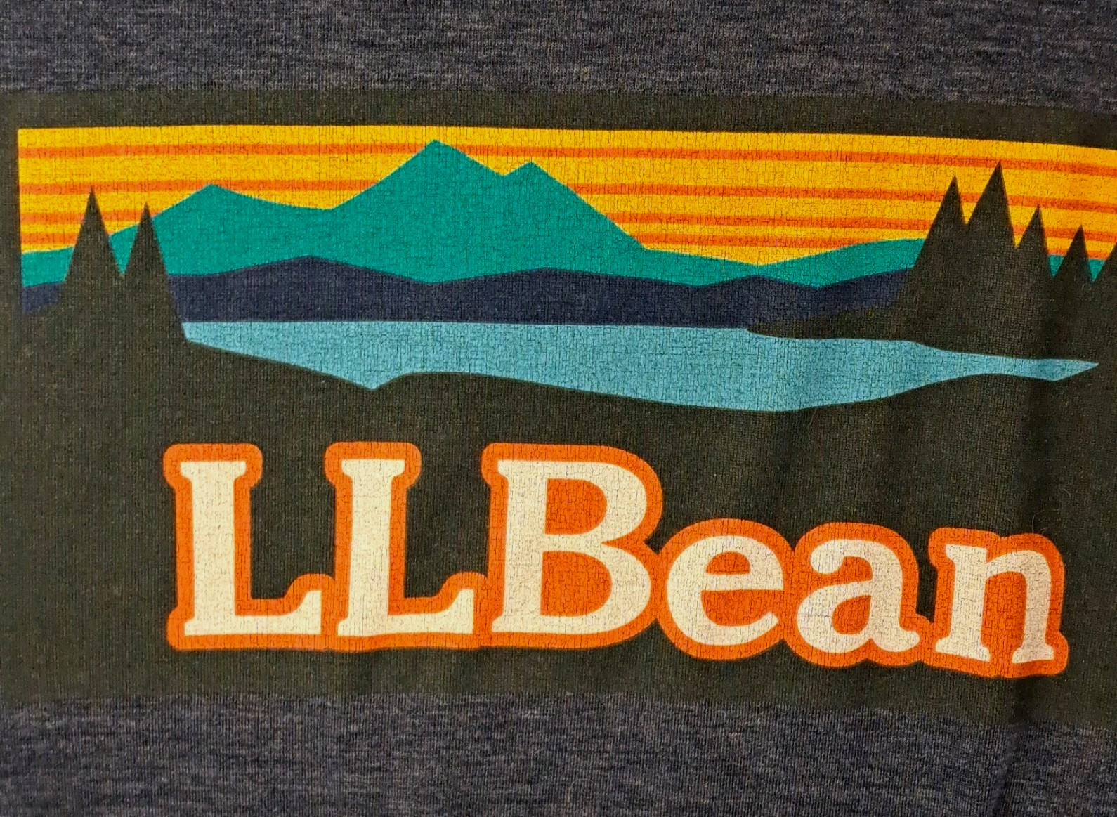 LL Bean T-shirt Mens XL Gray Logo Outdoors Hiking Gorpcore FLAW gallery