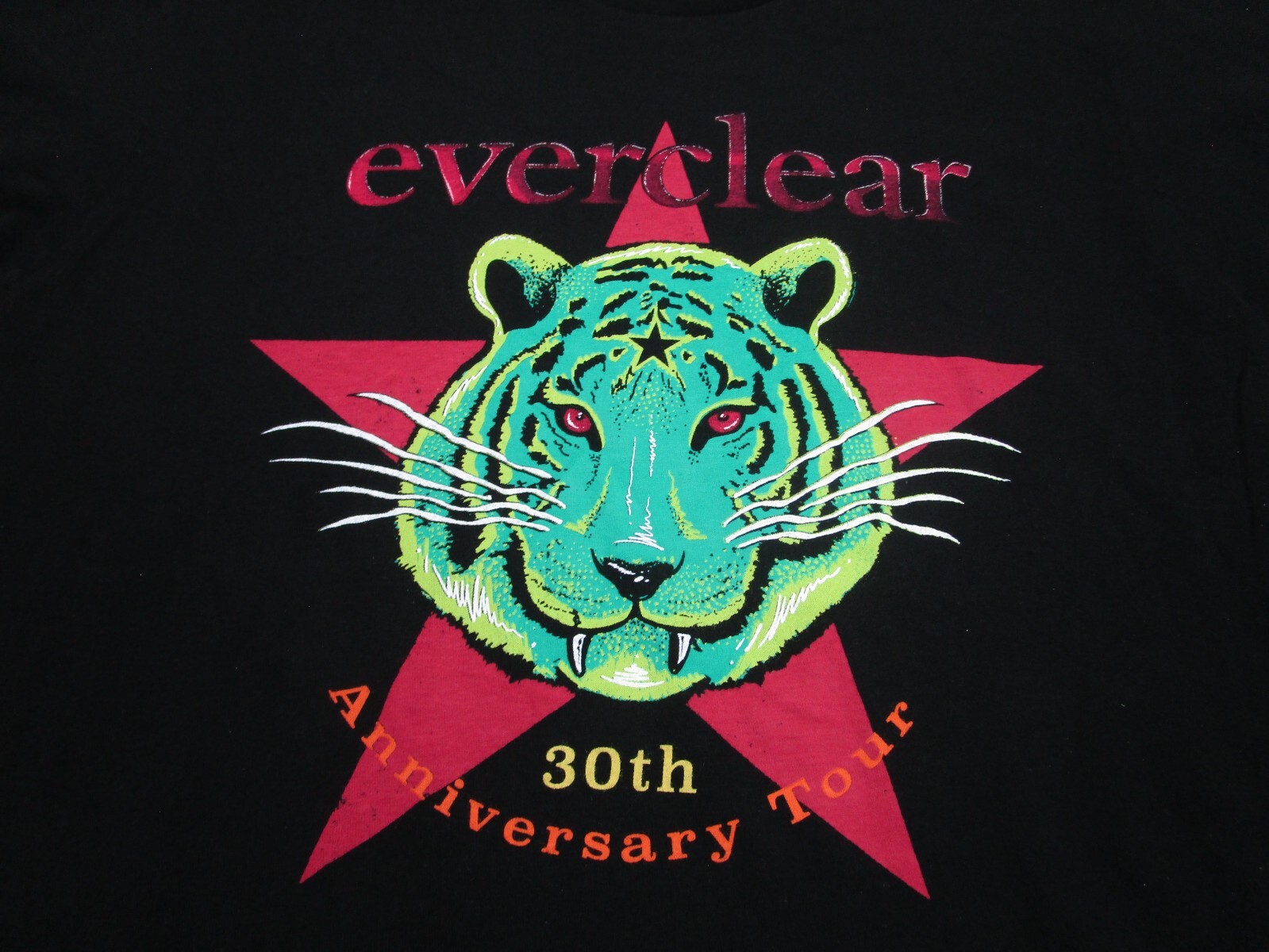 Everclear Shirt Mens medium Black 30th anniversary 90s y2k band Rock Punk Skate gallery