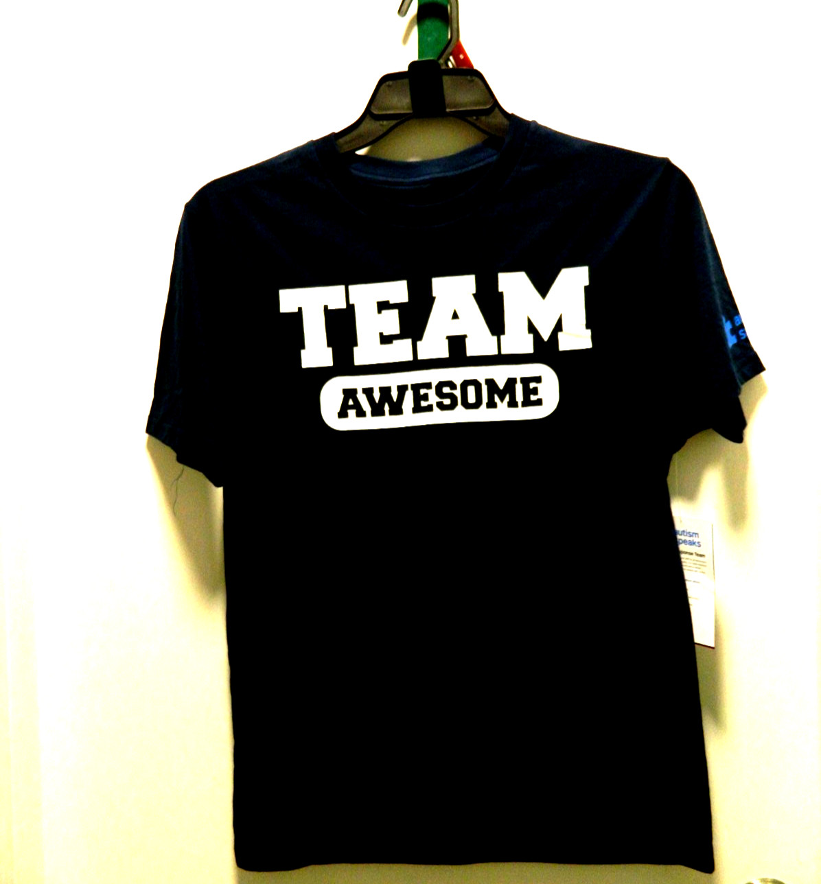 Autism Awareness Shirt Team Awesome Brand New -Blue size LARGE -UNISEX gallery