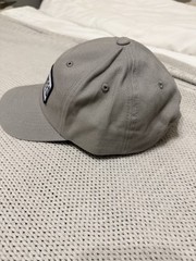 Tumbleweed Textiles Ball Dad Cap Leather STRAP with buckle Gray