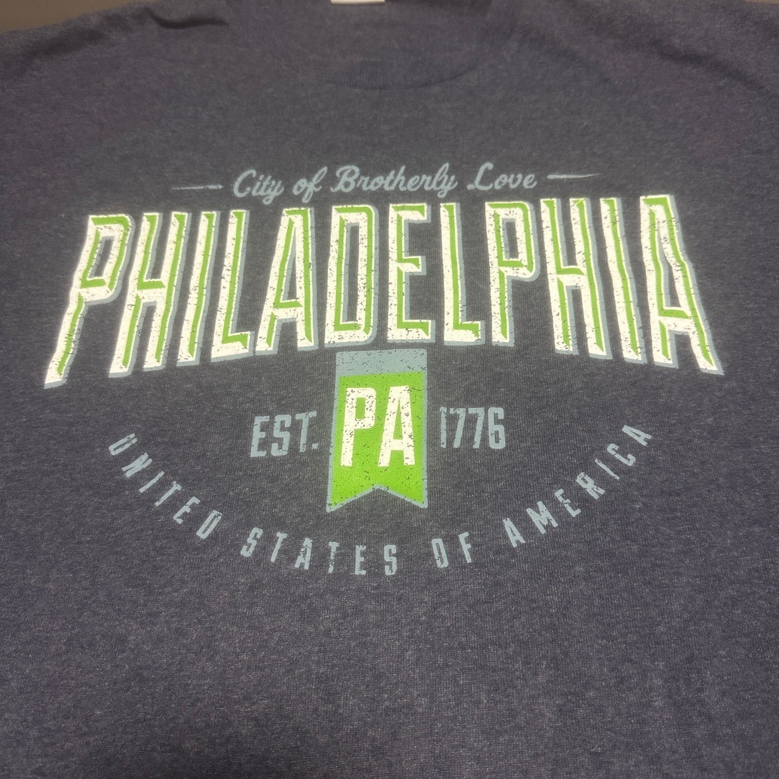 Delta Pro Weight Mens Philadelphia Graphic T-Shirt L Blue Gray Short Sleeve Tee gallery