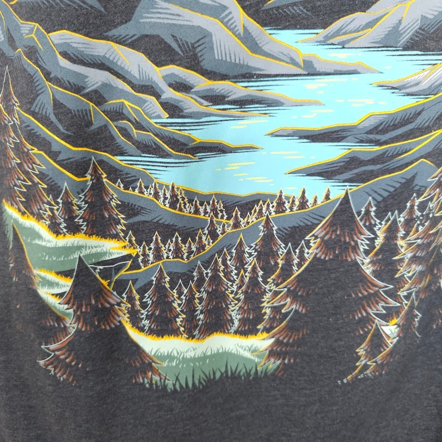 Forest Sunset T Shirt Mens Size Large Gray Mountain Lake Into The AM Nature Tee gallery