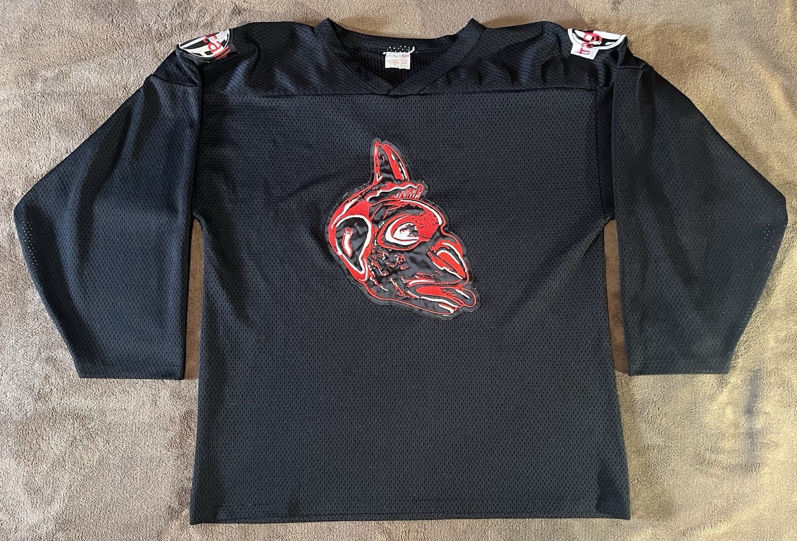TRAGICALLY HIP Trouble Henhouse hockey jersey Rare Rush Zep Beatles Young Mint gallery