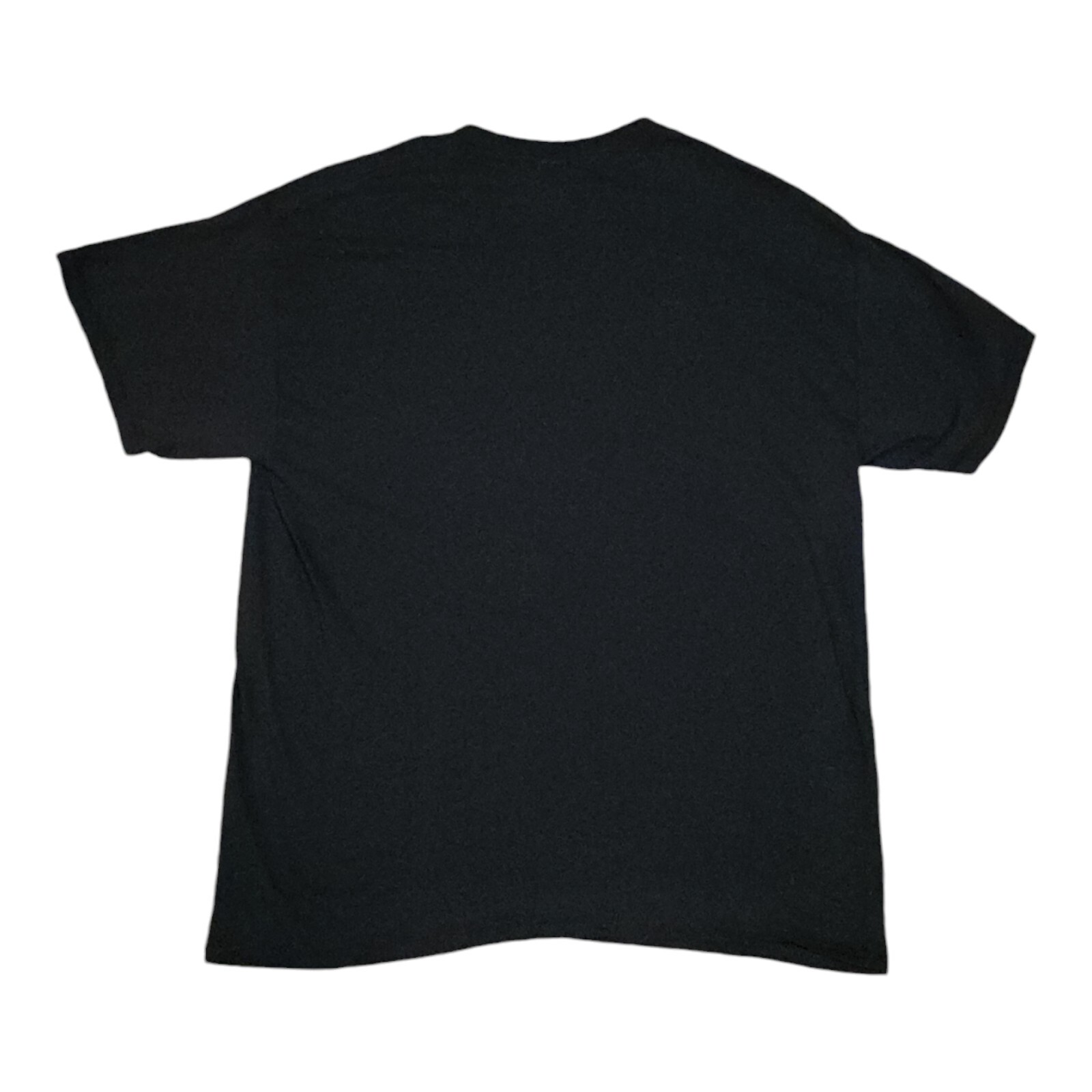 Dolly Parton T-shirt Men's Large Funny Novelty Tee Black Gildan Tag Rare gallery