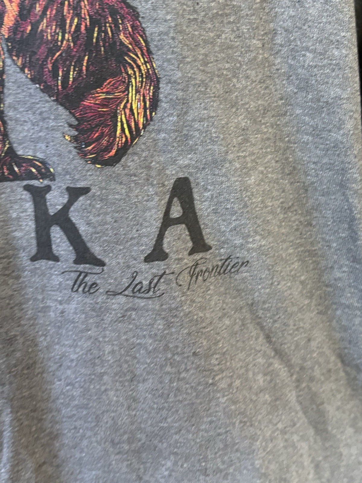 Vintage Y2K Alaska The Last Frontier T-shirt XL Eco & Mountain USA Made EUC gallery