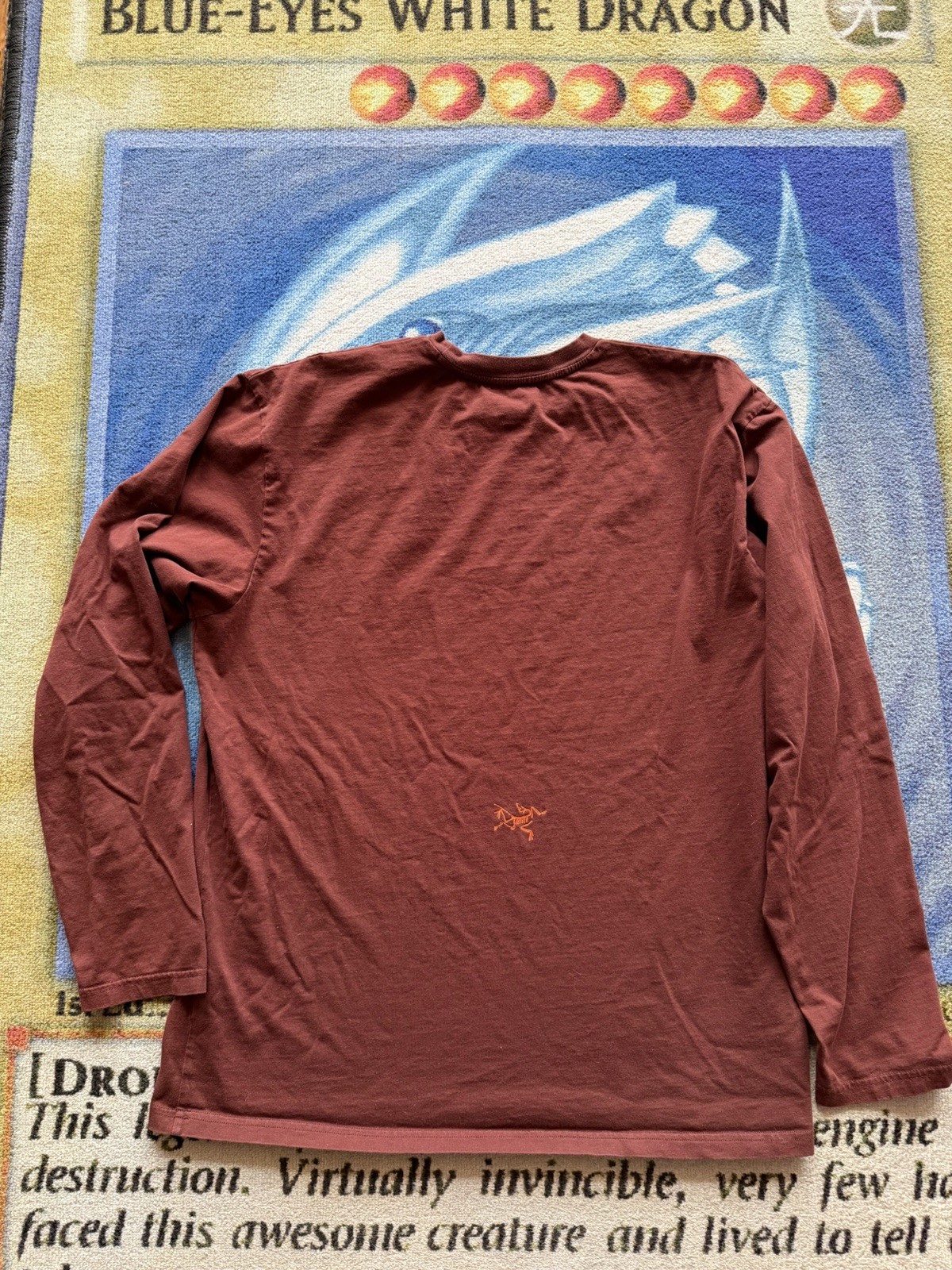 Arc’teryx Arc’Multi Bird Snowboard Ski Climb Longsleeve T-Shirt Mens XL Gorpcore gallery