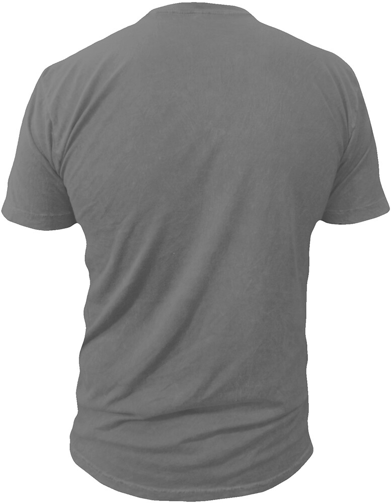 GYM LIFE® Mens Athletic T-Shirt Workout Exercise Fitness Men Tee Shirts, Slate gallery