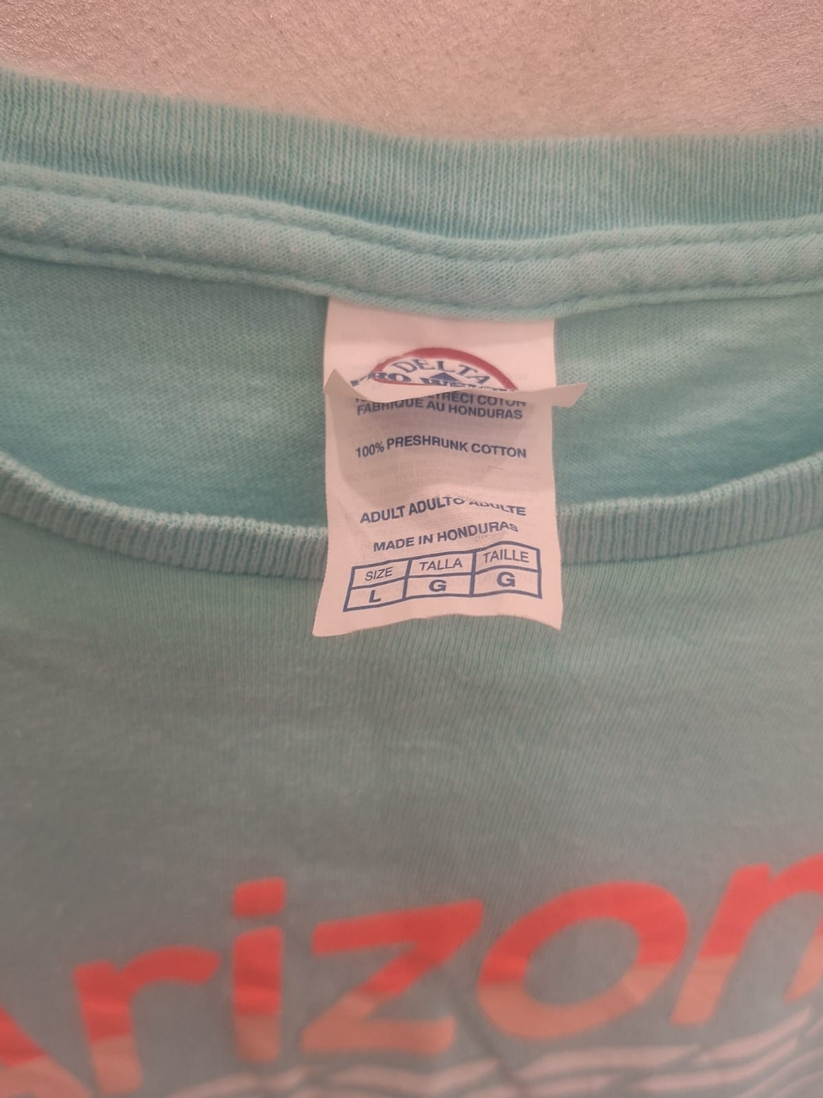 Arizona AZ Graphic T-Shirt Adult Large Aqua Blue Delta Pro Weight Cotton gallery