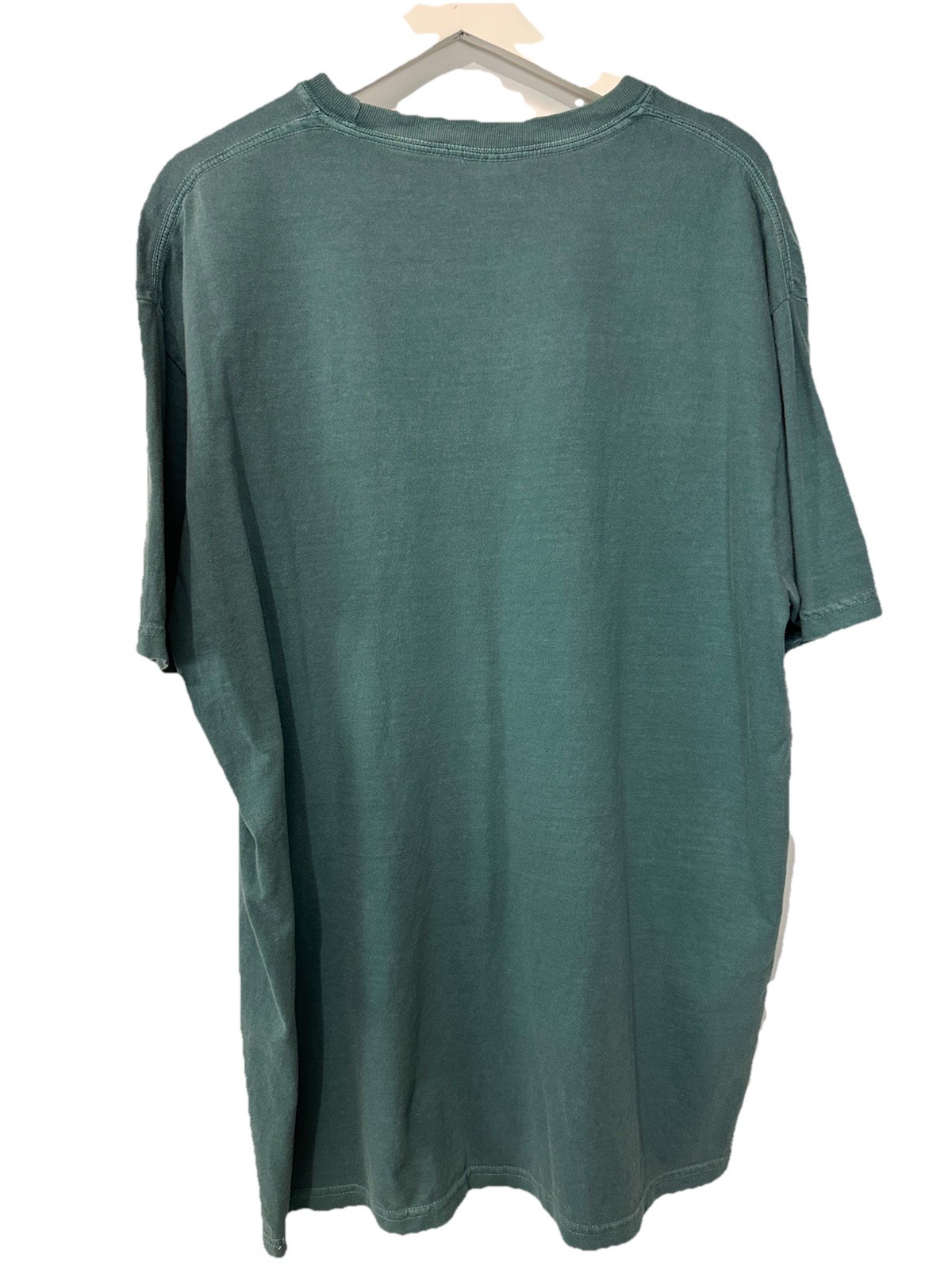 Comfort Colors - Soft Green Garment-Dyed 100% Cotton T-Shirt Tee NEW Size XL gallery