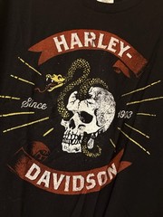 Harley Davidson Biker Built Sellersville PA Snake Skull T Shirt Size Large Black