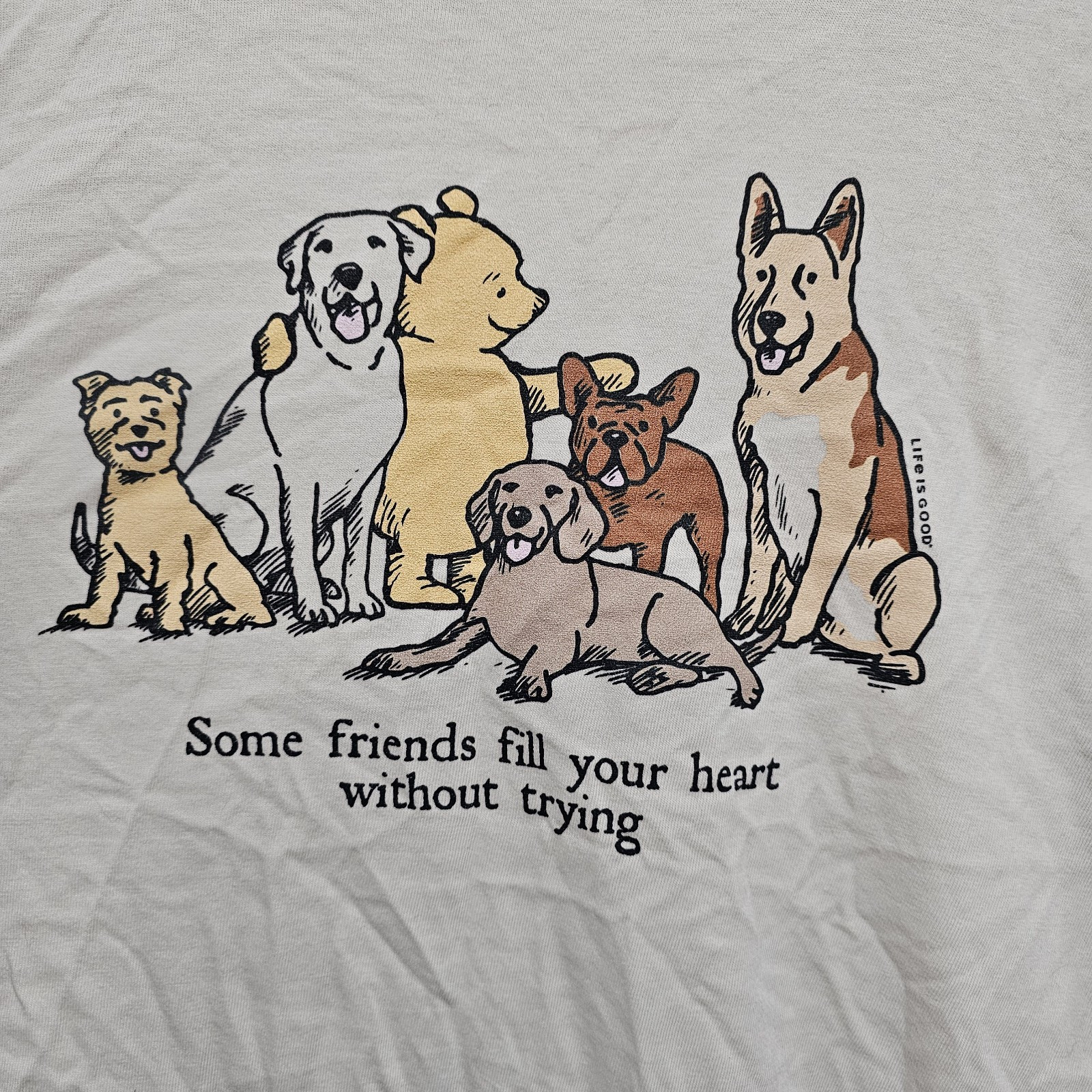 Life Is Good Graphic T "Some Friends Fill Your Heart Without Trying" Size S Mens gallery