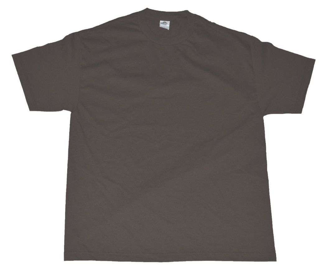 Alstyle Apparel & Activewear AAA Men's Classic Solid Plain T-Shirt Pack Of 1 pc gallery
