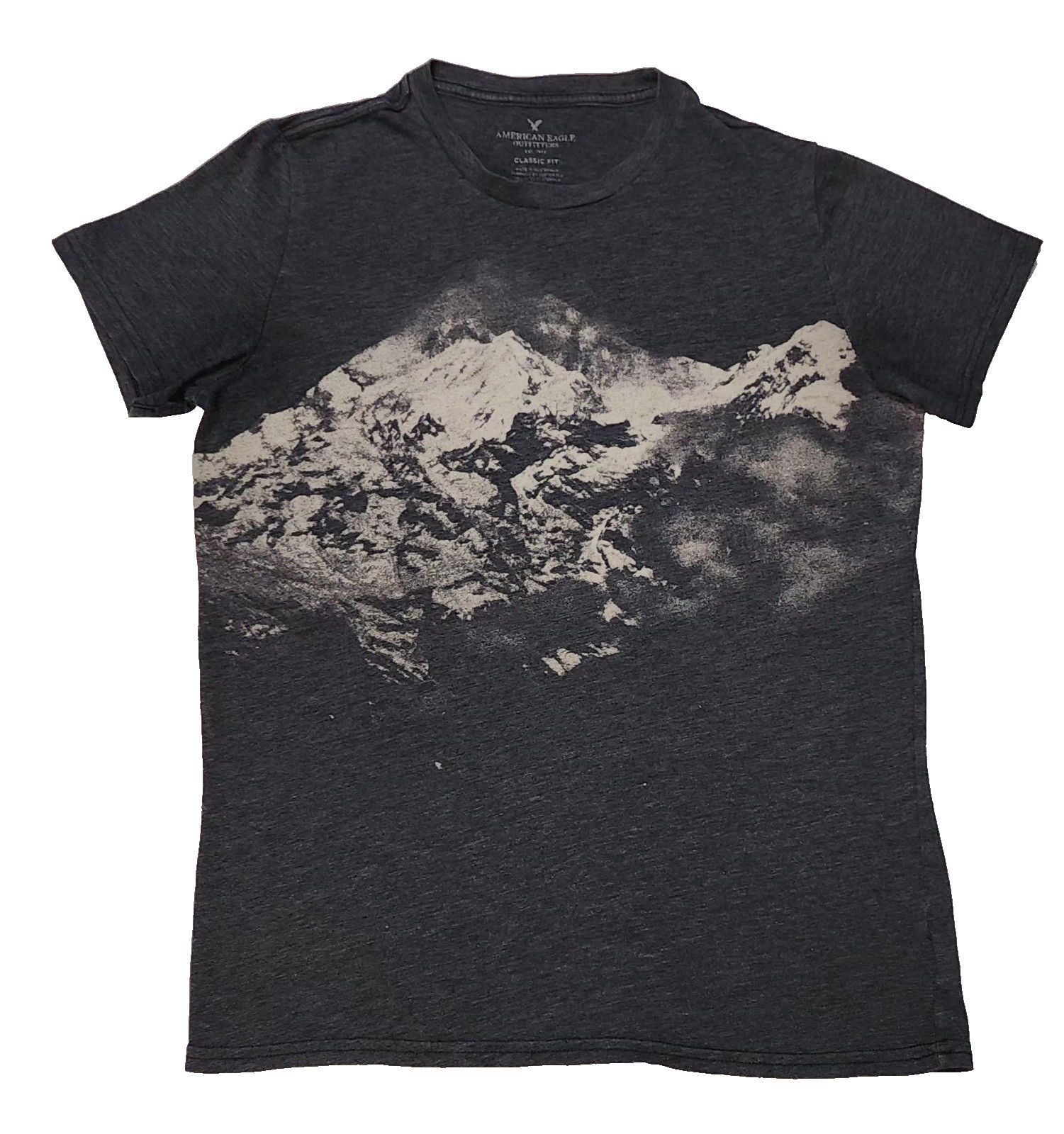 American Eagle Outfitters men Classic Fit M short sleeve t-shirt grey mountain