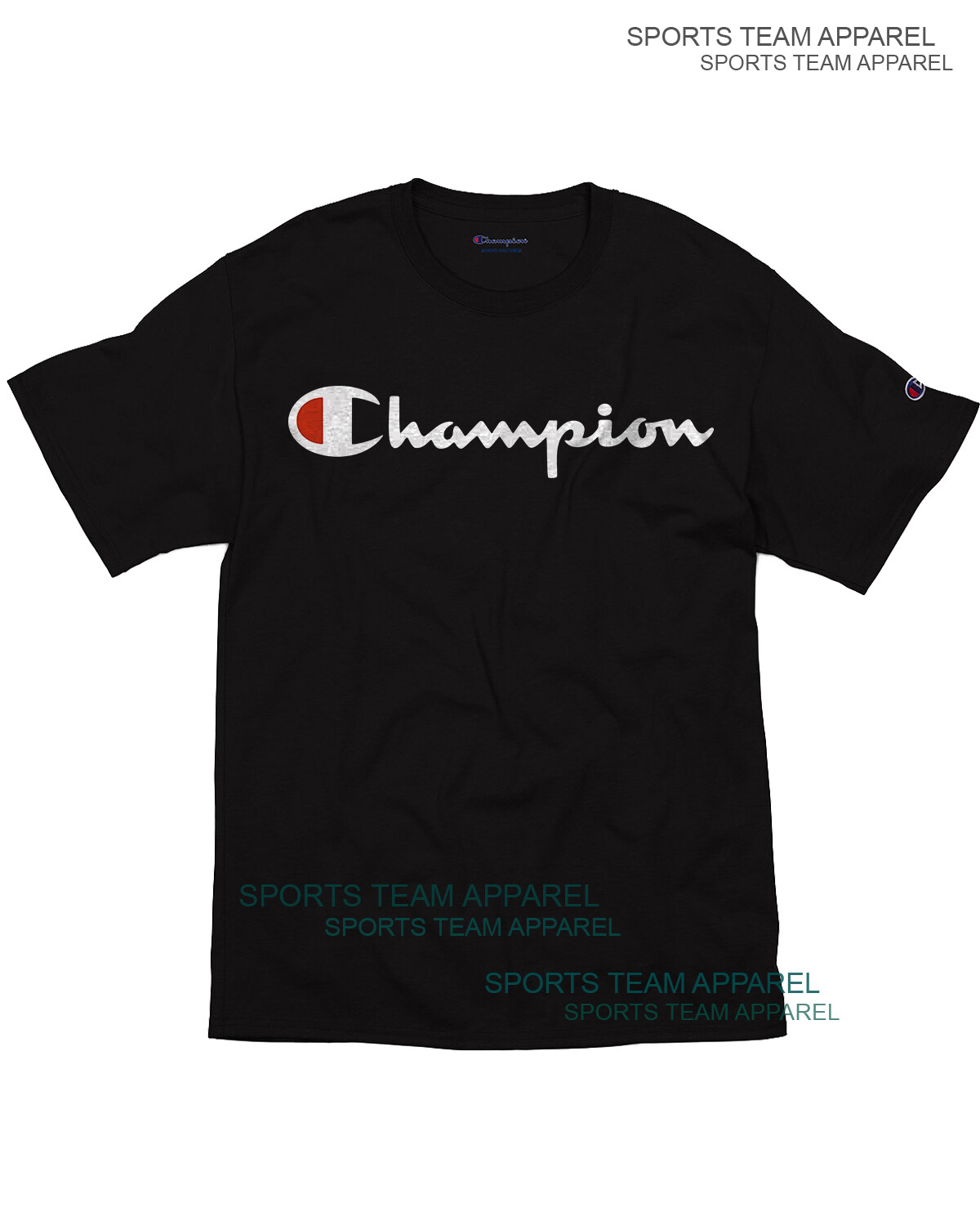 Champion T-Shirt Men's Jersey Tee Classic Fit Script Logo gallery