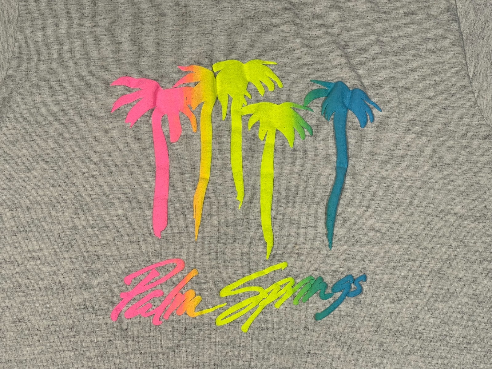 Vintage Palm Springs Men's XL Gray Tee Single Stitch Puff Paint Made in USA gallery