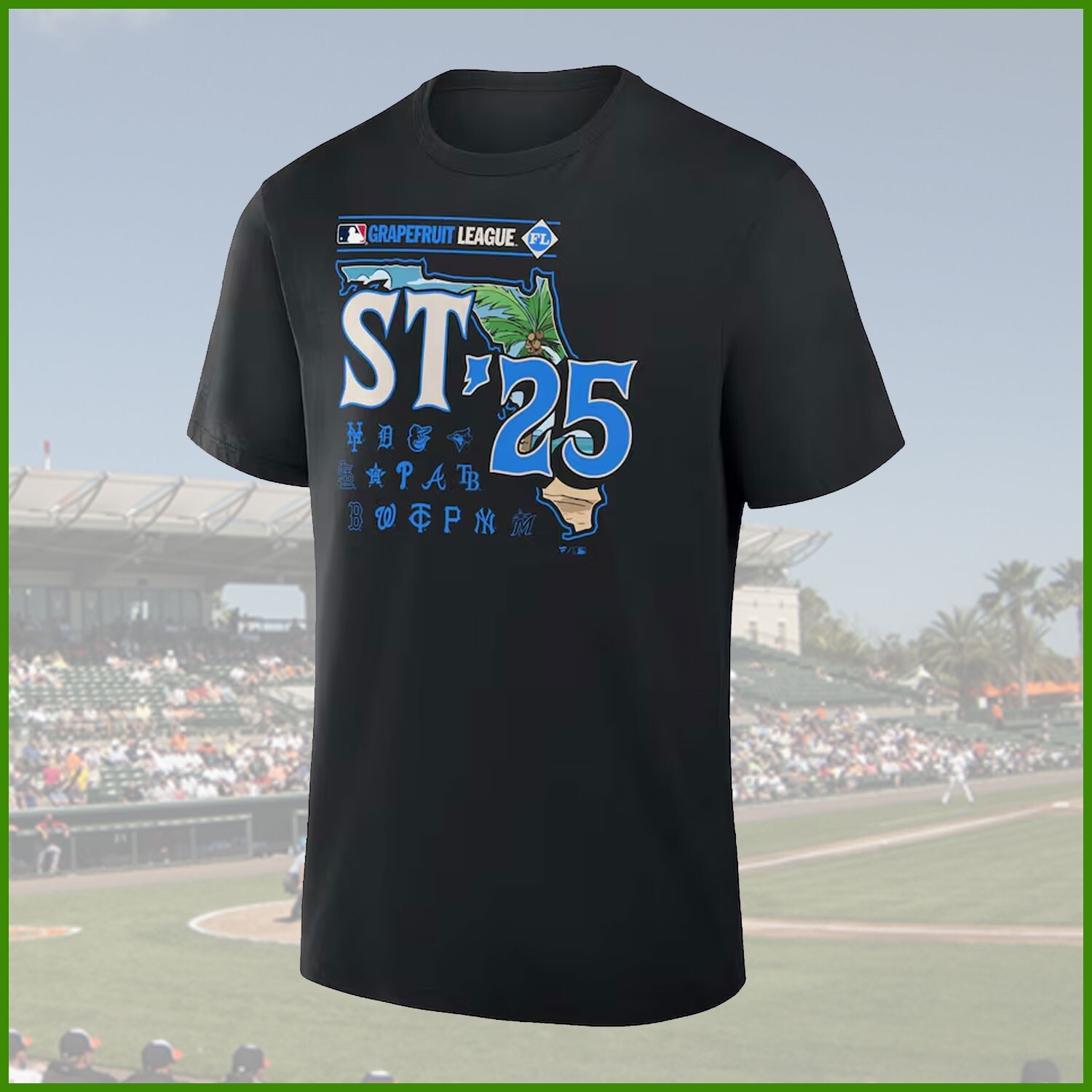 SALE 2025 Spring Training Grapefruit League Local T-Shirt gallery