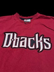 Nike Team Arizona Diamondbacks Embroidered Short Sleeve MLB Shirt