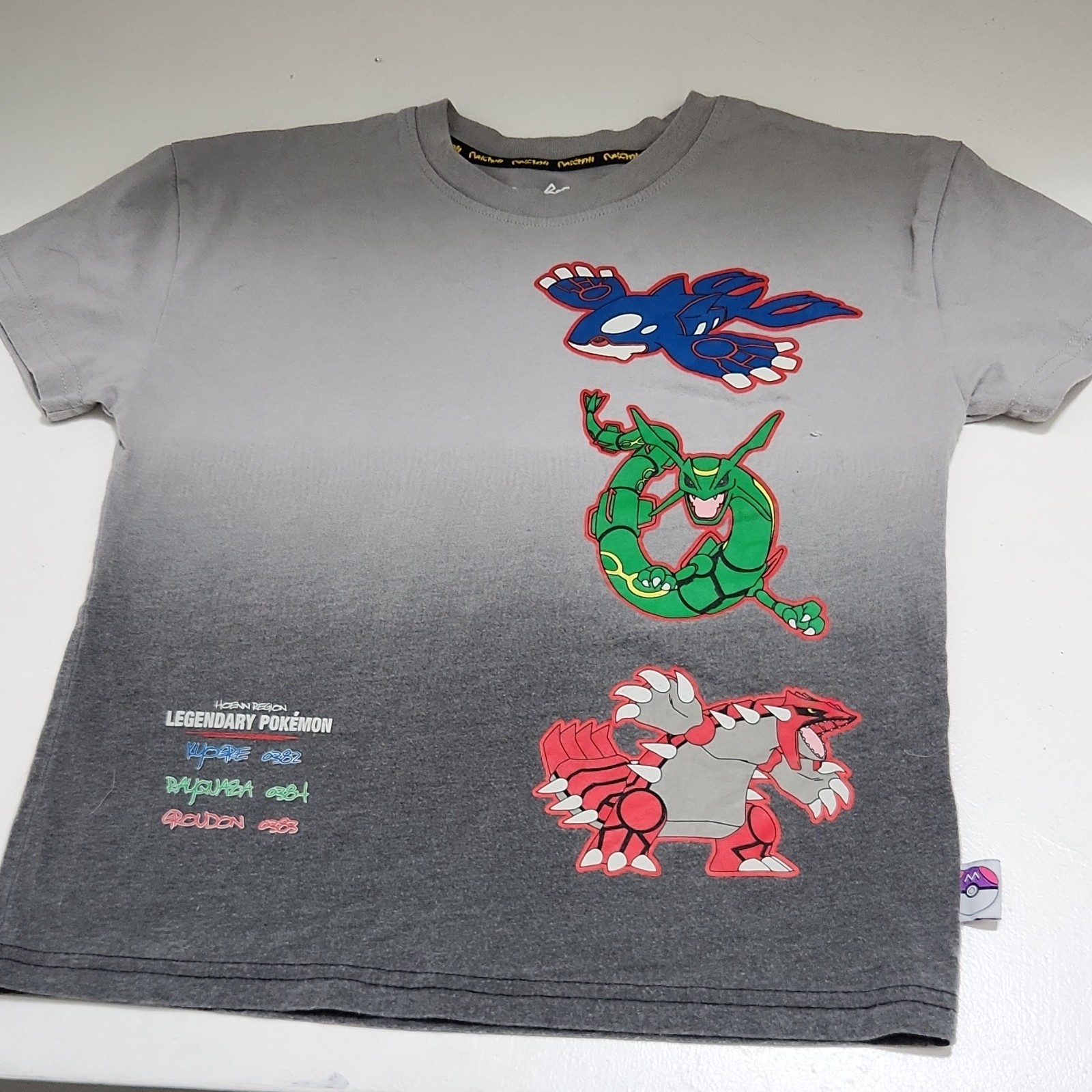 Hybrid Apparel Pokémon Hoenn Legendary Kyogre Rayquaza Groudon Tee Men’s S Gray gallery