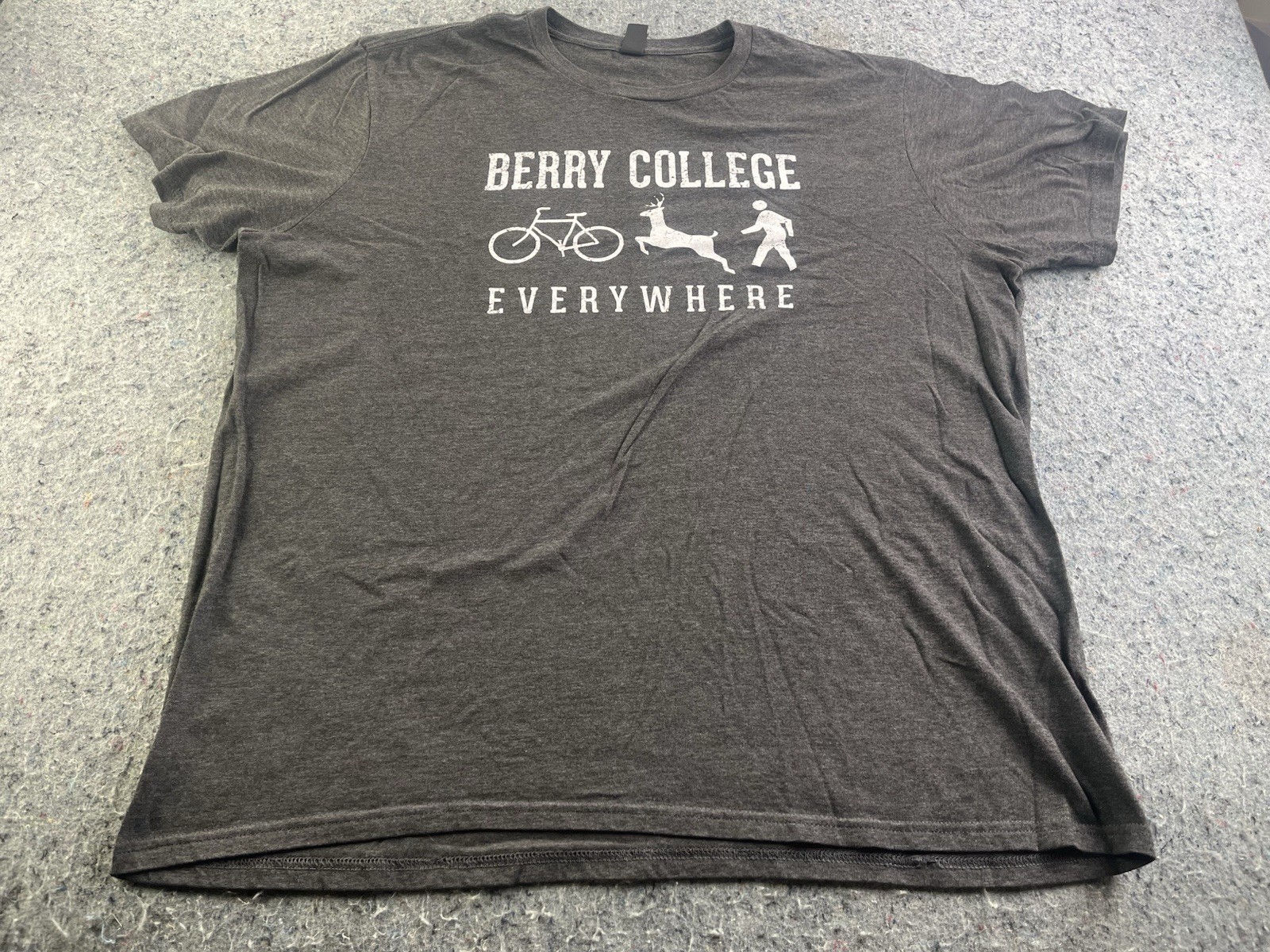 Berry College Everywhere Graphic T-Shirt Gray 2XL Deer Bicycle Hiking