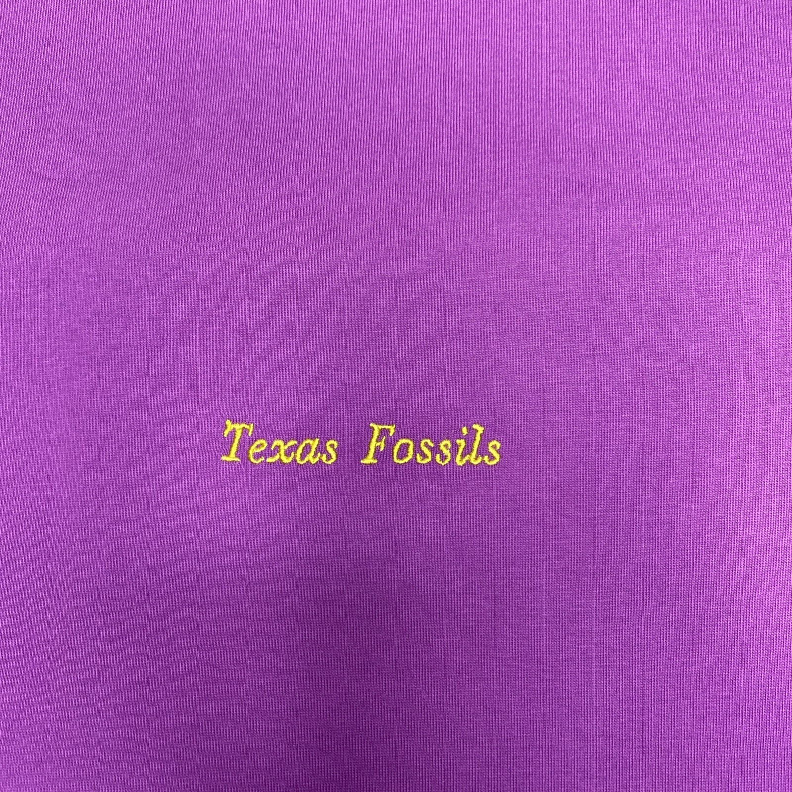 nike acg dri fit shirt Men’s Large Purple Texas Fossils New HV1296-505 Tee T gallery
