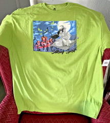 NWT Disney STORE PARKS Aladdin Jasmine Soaring Spirit T-SHIRT TOP ADULT GREEN XL