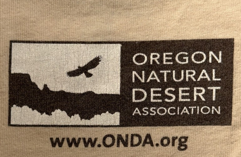 Patagonia Owyhee Canyonlands TShirt Size M Organic Cotton Made in USA Tan Unisex gallery