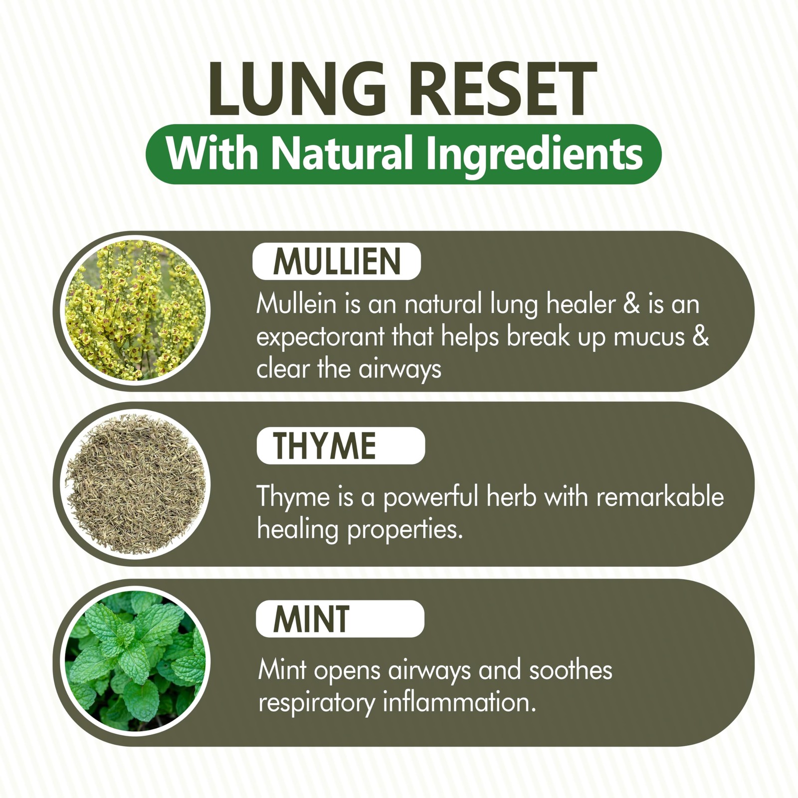 Lung Detox Rechargeable Mullein Diffuser Pen | Natural Mullein Leaf | Lung He…