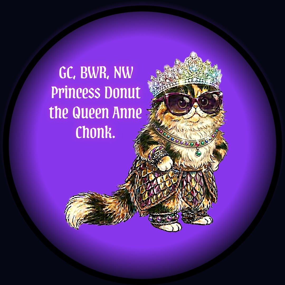 Princess Donut from DCC Cotton T-Shirt, 4XL, Black, w full title gallery
